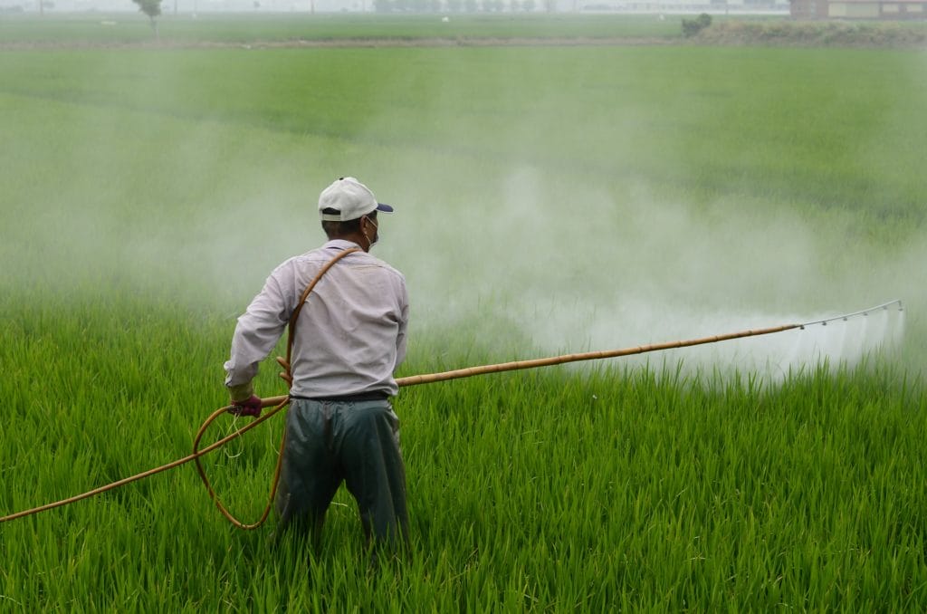 male agricultural worker spraying paraquat on crops